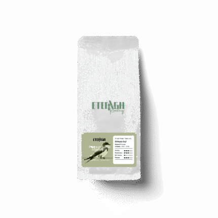 قهوه اتیوپی گوجی